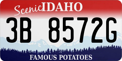 ID license plate 3B8572G