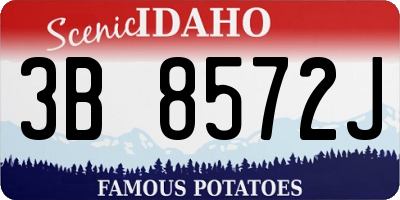 ID license plate 3B8572J
