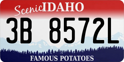 ID license plate 3B8572L
