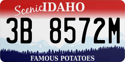 ID license plate 3B8572M