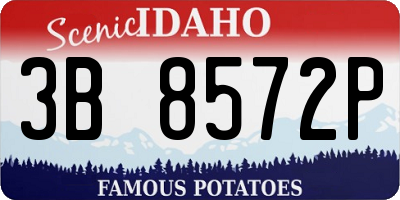 ID license plate 3B8572P