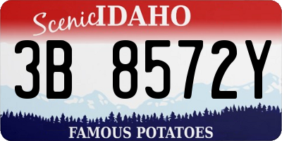 ID license plate 3B8572Y