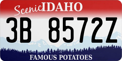 ID license plate 3B8572Z