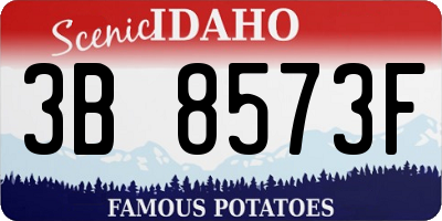 ID license plate 3B8573F