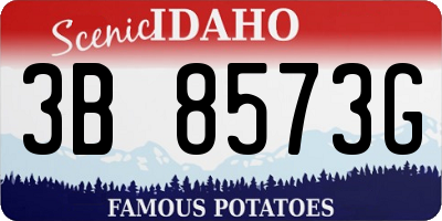 ID license plate 3B8573G
