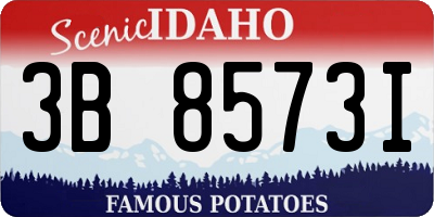ID license plate 3B8573I