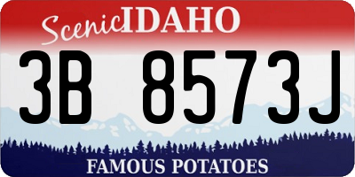 ID license plate 3B8573J