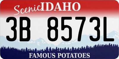 ID license plate 3B8573L