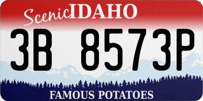 ID license plate 3B8573P