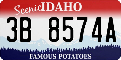 ID license plate 3B8574A