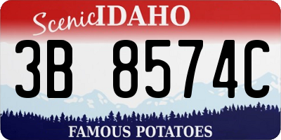 ID license plate 3B8574C
