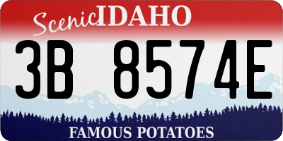 ID license plate 3B8574E