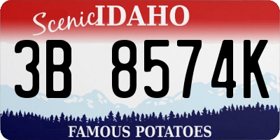 ID license plate 3B8574K