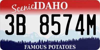 ID license plate 3B8574M