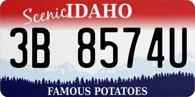 ID license plate 3B8574U