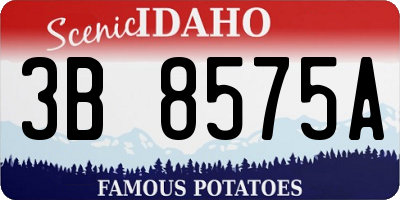 ID license plate 3B8575A