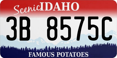 ID license plate 3B8575C