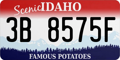 ID license plate 3B8575F