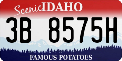 ID license plate 3B8575H