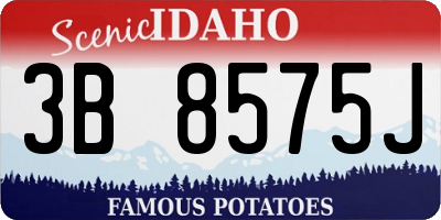 ID license plate 3B8575J