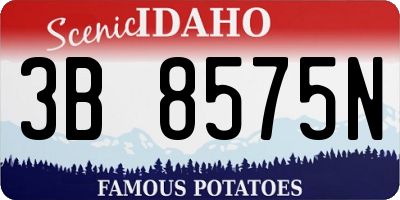 ID license plate 3B8575N