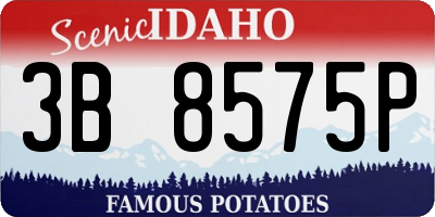 ID license plate 3B8575P