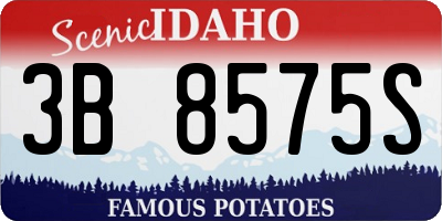 ID license plate 3B8575S