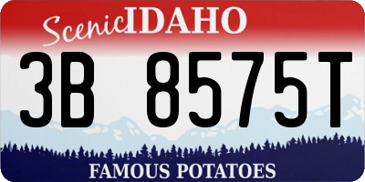 ID license plate 3B8575T