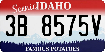 ID license plate 3B8575V