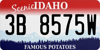 ID license plate 3B8575W