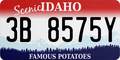 ID license plate 3B8575Y
