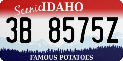 ID license plate 3B8575Z