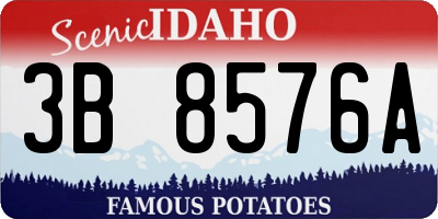 ID license plate 3B8576A