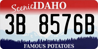 ID license plate 3B8576B