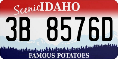 ID license plate 3B8576D