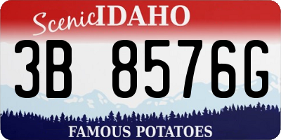 ID license plate 3B8576G