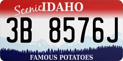 ID license plate 3B8576J