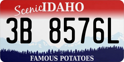 ID license plate 3B8576L