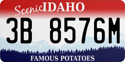 ID license plate 3B8576M