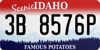 ID license plate 3B8576P