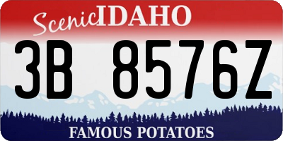 ID license plate 3B8576Z