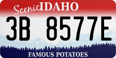 ID license plate 3B8577E