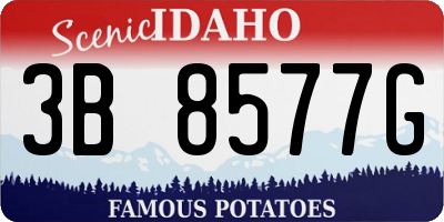 ID license plate 3B8577G
