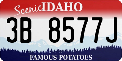 ID license plate 3B8577J