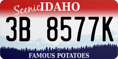 ID license plate 3B8577K