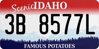 ID license plate 3B8577L