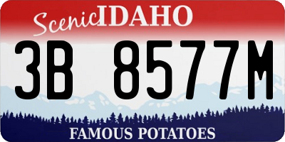 ID license plate 3B8577M