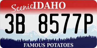 ID license plate 3B8577P