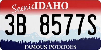 ID license plate 3B8577S