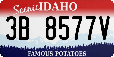 ID license plate 3B8577V